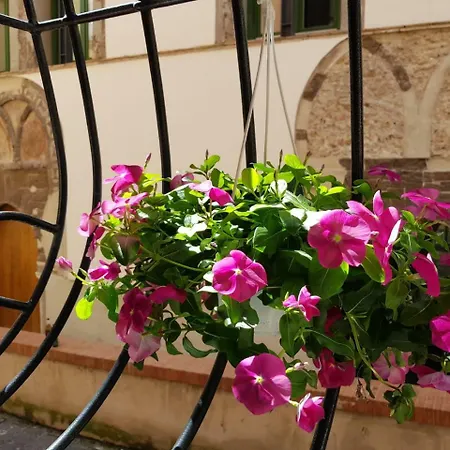 Le Petit Bouganville *